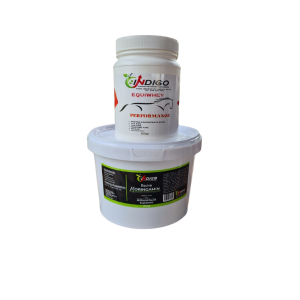 EquiCore Gut & Muscle Conditioning Bundle